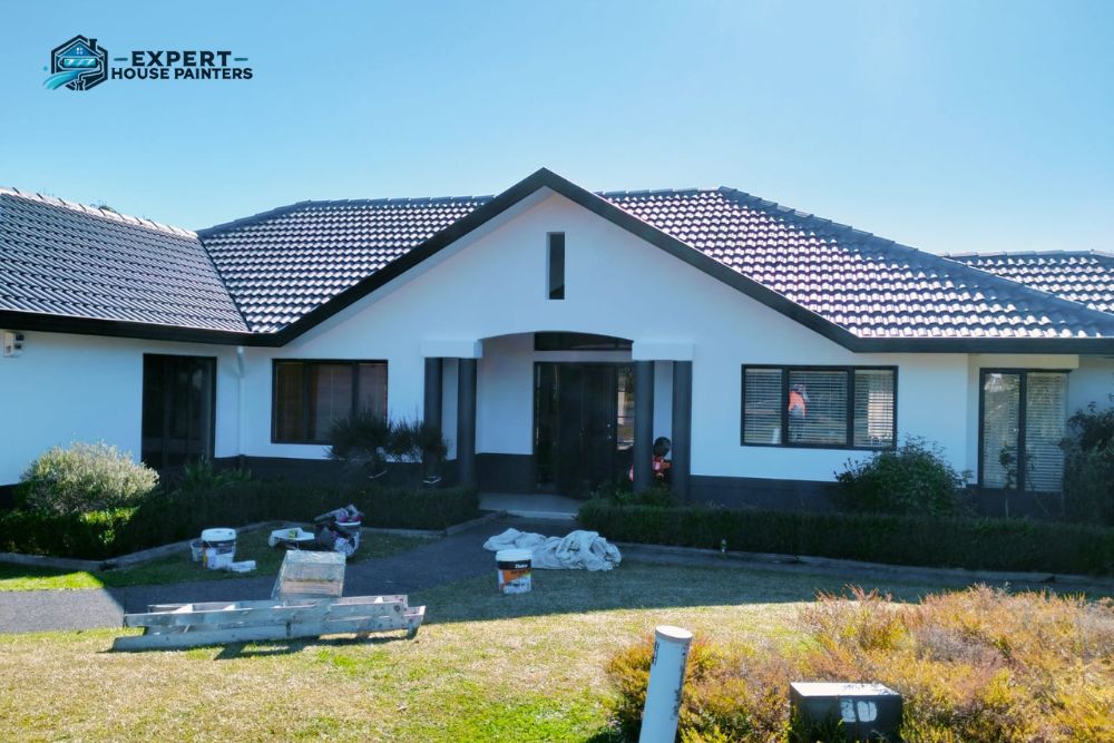 House Painters Auckland