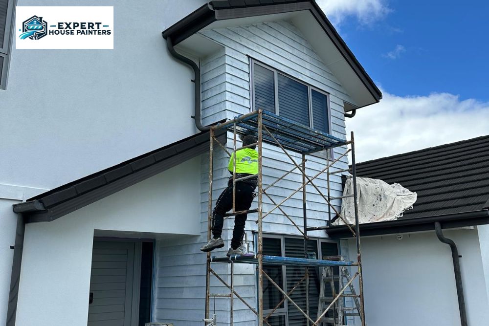 Painting Company in Near Me
