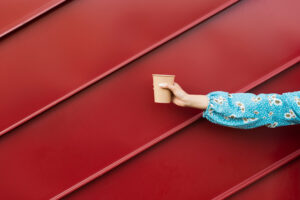 Colorsteel Roof Painting
